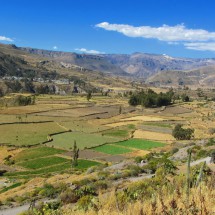 Fruitful Colca Canyon